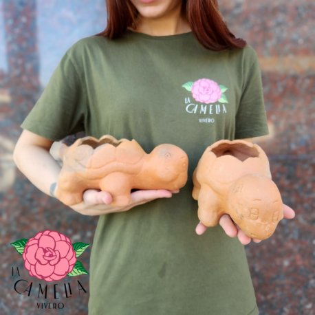 Maceta Tortuga de barro jujeña 