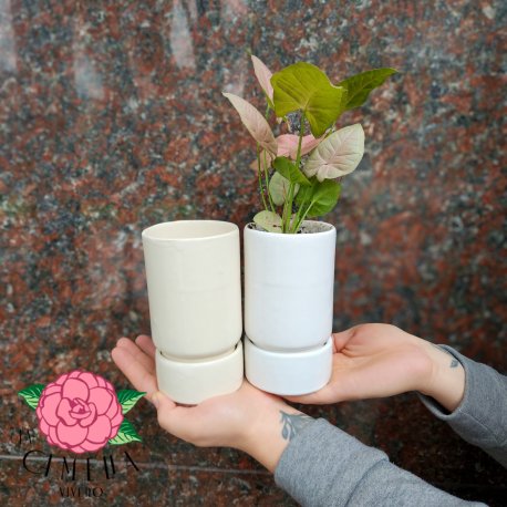 Maceta de cerámica tubo mini c/plato blanco