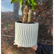 Maceta de cerámica cilindro calada huella crudo