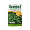 Greenland Dichondra 50 grs