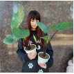 Alocasia Dark Star