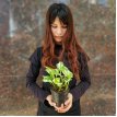 Pothus Joy M12