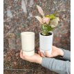 Maceta de cerámica tubo mini c/plato blanco